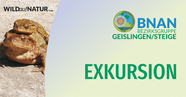 Veranstaltungsbanner der BG Geislingen/ Steige des BNAN